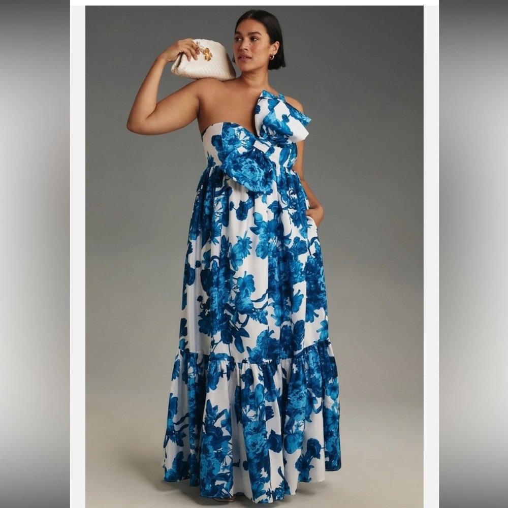 Anthropologie Blue Floral Maxi Dress